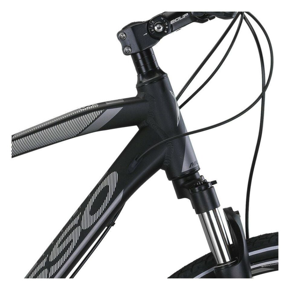 Mosso Legarda 2221 CT MSM V